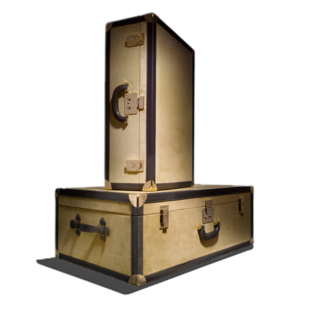 Luxury luggage