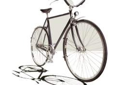 The Bicycle