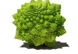 Veg-2_7Objects_450x450_4