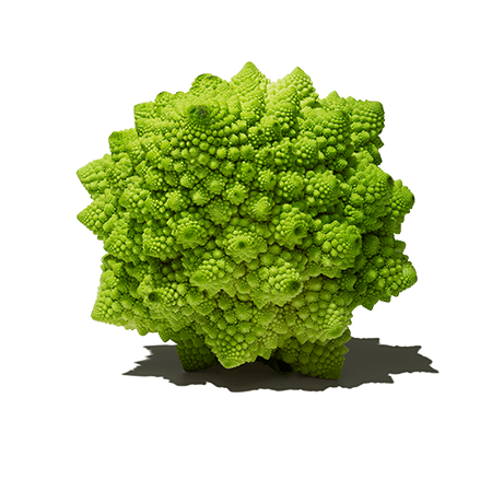 Veg-2_7Objects_450x450_4