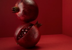 The-World-in-7-Objects-3
