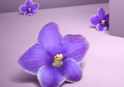 7Objects_7