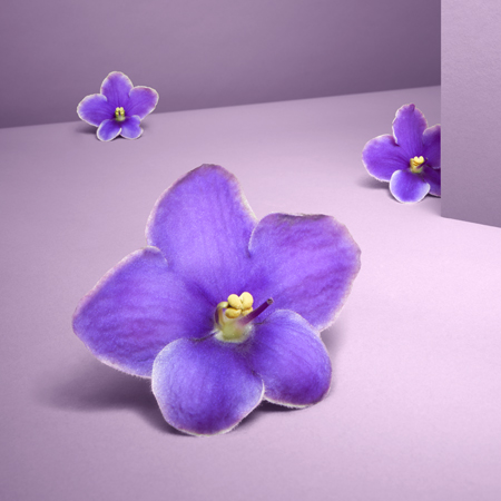 7Objects_7