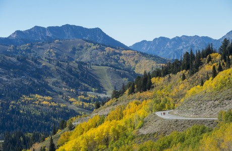 Two men and two women running on a paved road on a fall day in the mountains