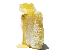 Artisanal Honey